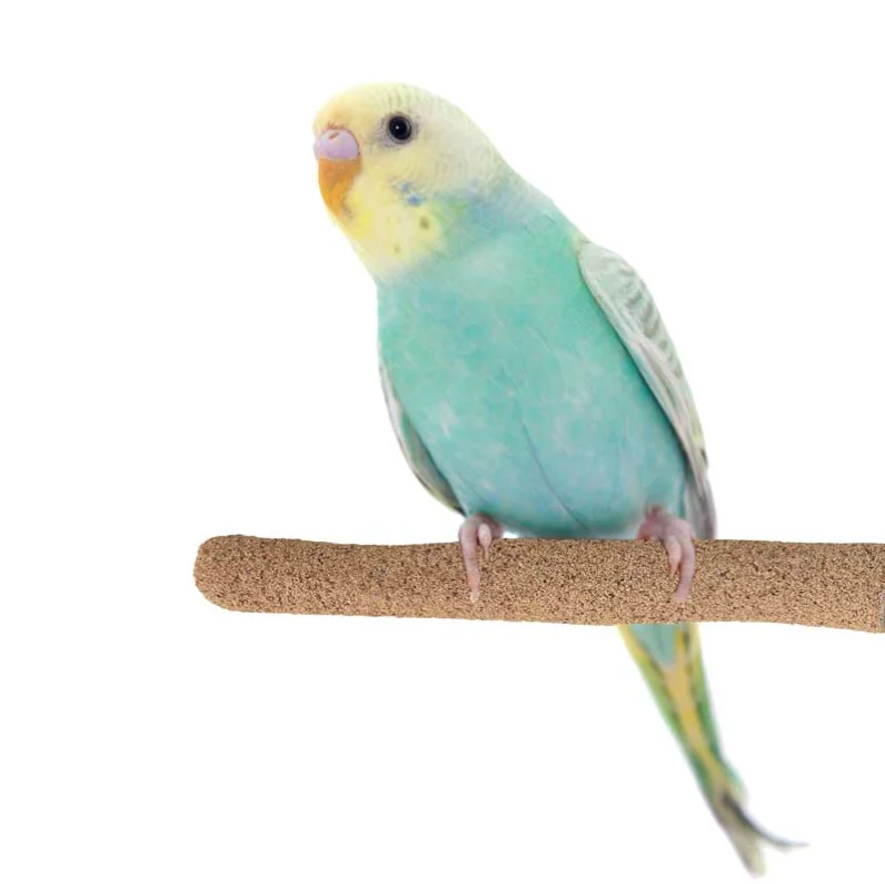 Super Bird Sure-Grip Grooming Perch