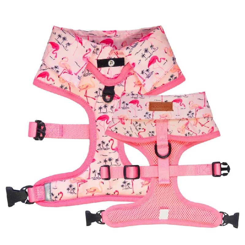 Moo+Twig Flock Yeah Dog Shirt Harness