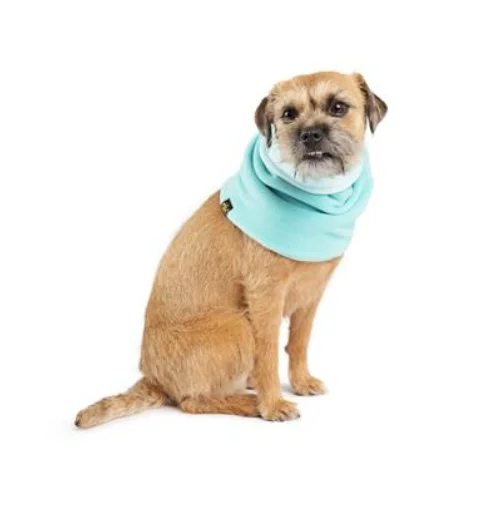 Gold Paw Snood Turqoise/Robin Egg -