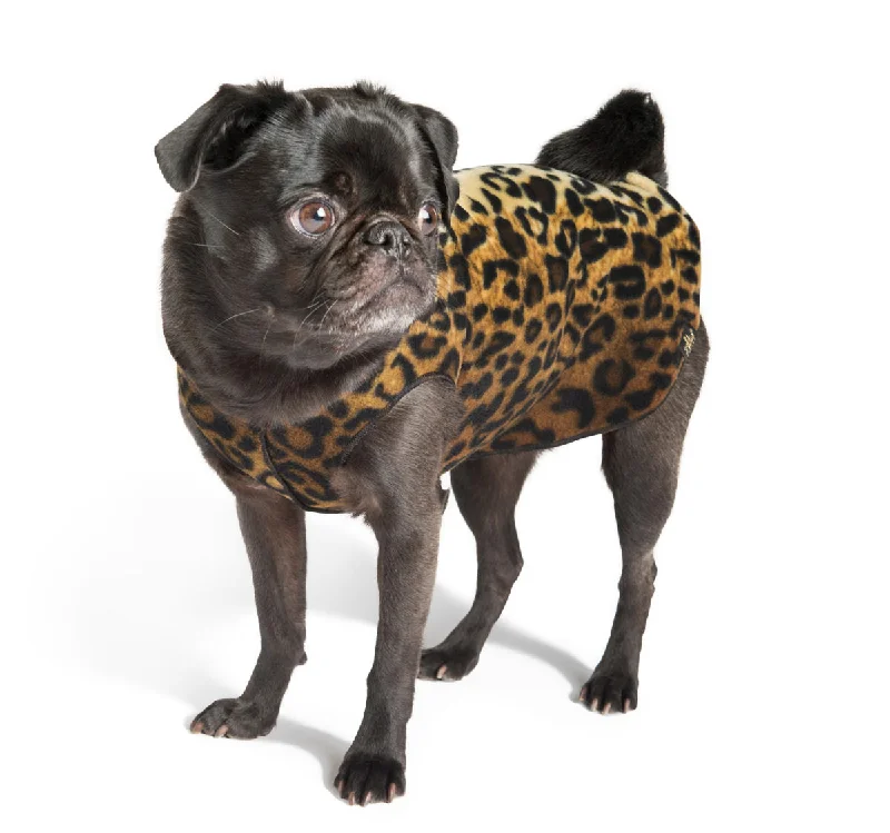 Gold Paw Stretch Fleece - Leopard