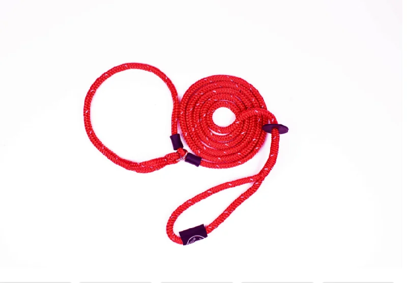 Harness Lead - Rad (Red Reflective) -