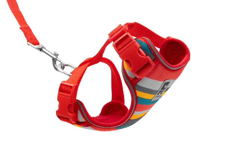 RC Pets Adventure Kitty Harness - Multi Stripes