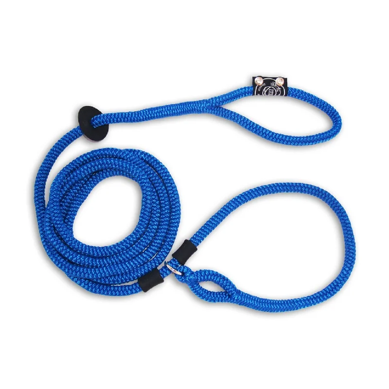 Harness Lead 6' Large Blue