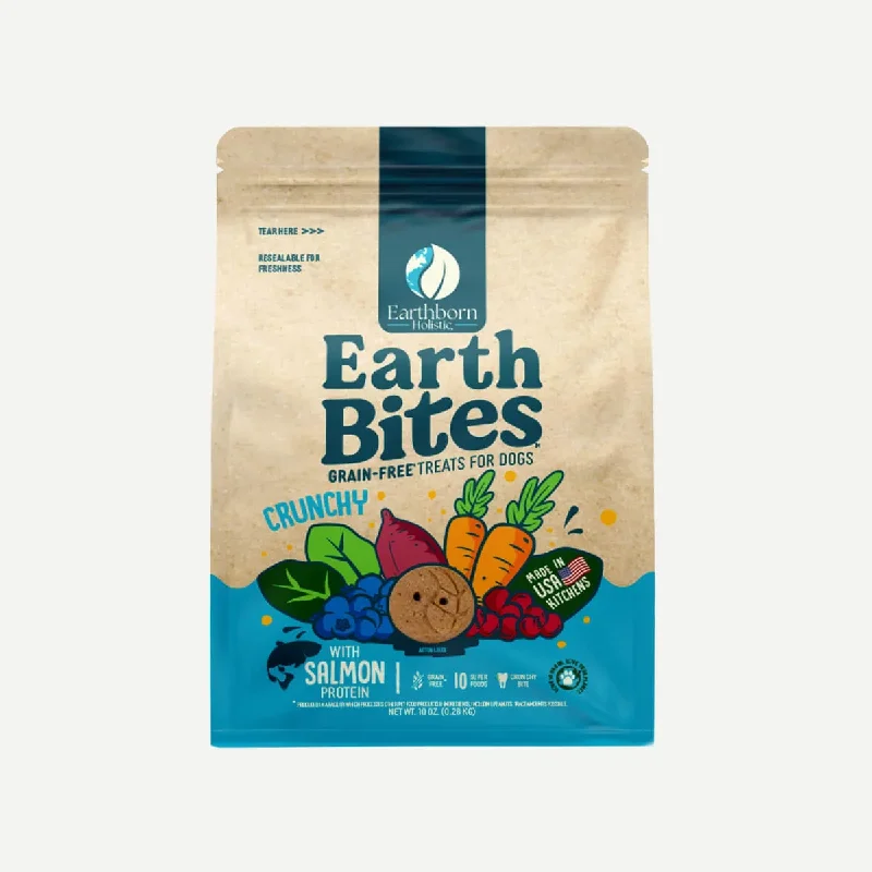 Earthborn Holistic EarthBites Salmon Meal Crunchy Dog Treats 10oz